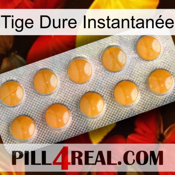 Tige Dure Instantanée levitra1